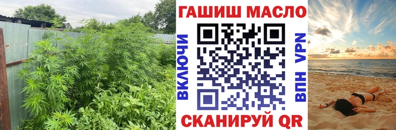 дарнет шоп  Мещовск  ТГК вейп 