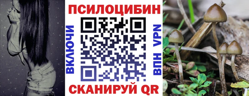 Галлюциногенные грибы мухоморы  Мещовск 