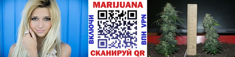Бошки Шишки Amnesia  сколько стоит  Мещовск 